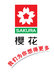 厦门 樱花