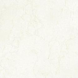 PG8018C